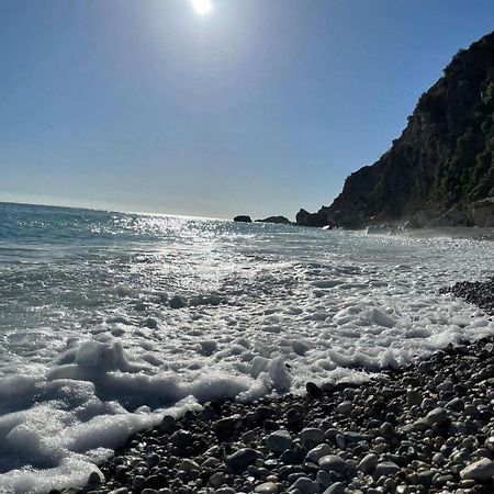 Apartments Villa Simonovic Petrovac Zewnętrze zdjęcie