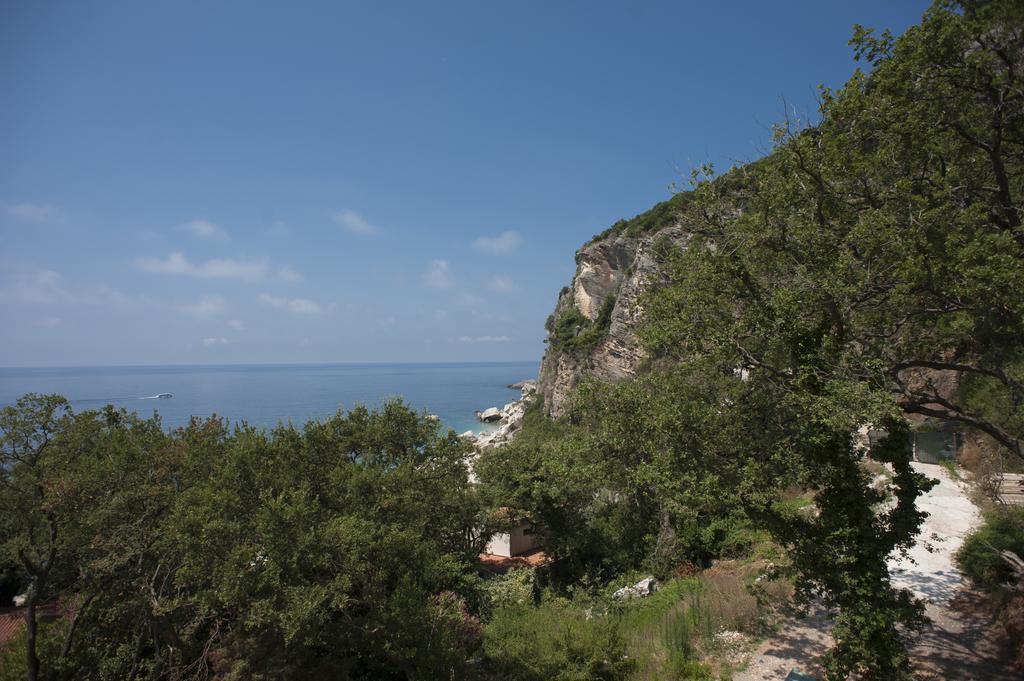 Apartments Villa Simonovic Petrovac Zewnętrze zdjęcie